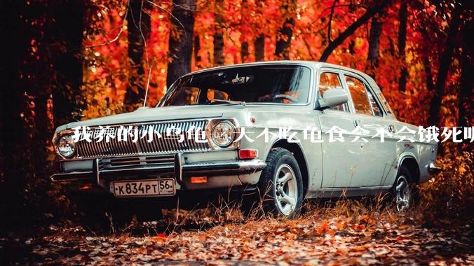 我养的小乌龟一天不吃龟食会不会饿死呢？