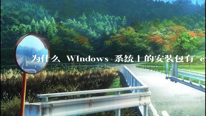 为什么 Windows 系统上的安装包有 exe 和 msi 两种格式，有什么区别？