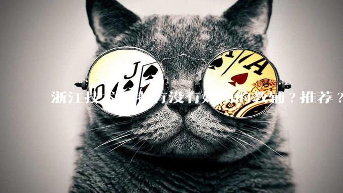 浙江技术选考有没有好用的教辅?推荐?