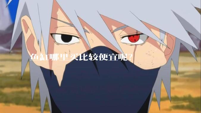 鱼缸哪里买比较便宜呢？