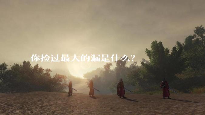 你捡过最大的漏是什么？