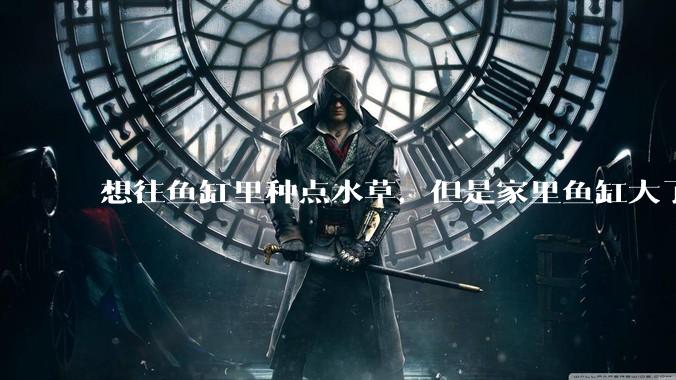 想往鱼缸里种点水草，但是家里鱼缸大了买水草泥或者底砂太贵了，有没有生活中可以替代的物品或其他建议？